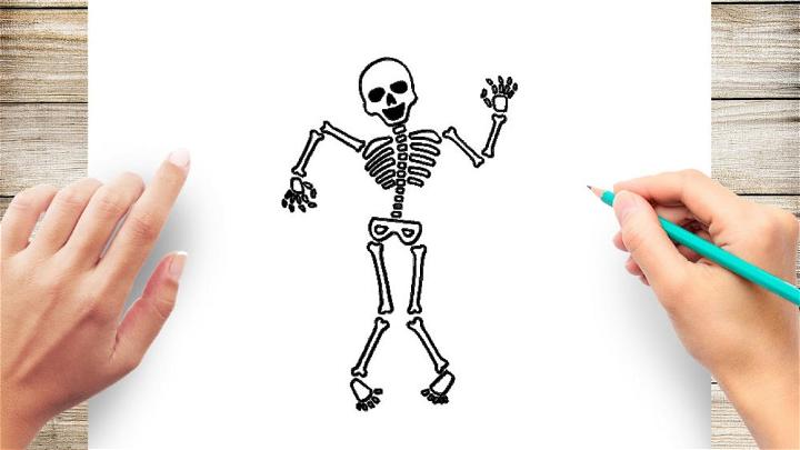 25 Easy Skeleton Drawing Ideas - How To Draw A Skeleton