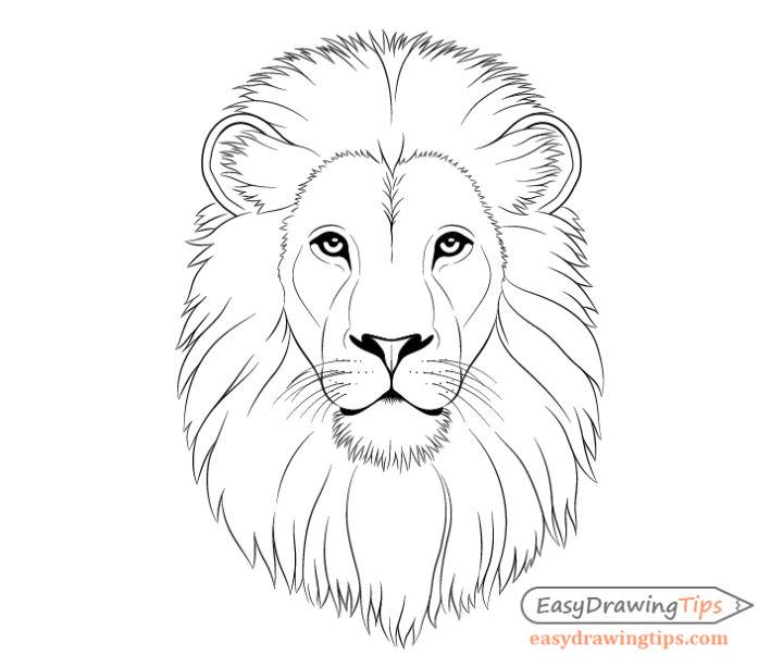 How to Draw Lion Face