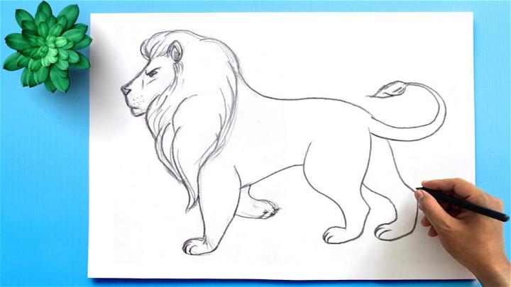 simple cute lion drawing