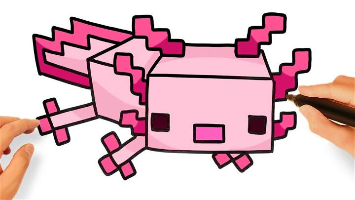How to Draw Minecraft Axolotl