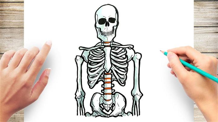 25 Easy Skeleton Drawing Ideas - How To Draw A Skeleton