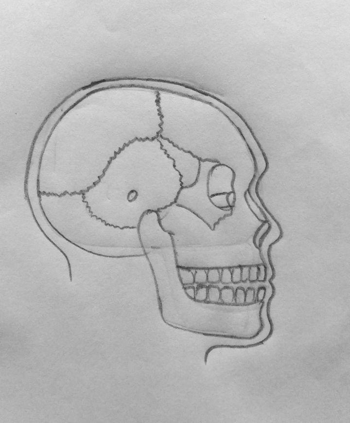 How To Draw A Simple Skull Step by Step Drawing Guide by Dawn  DragoArt