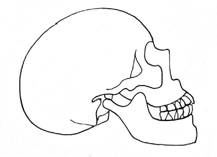 How to Draw Skull Hand