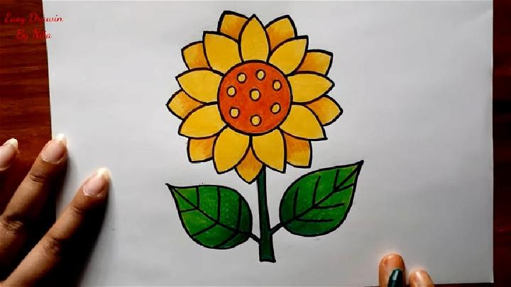 How to Draw Sunflower Step by Step Instruction