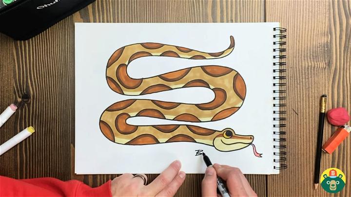 How to Draw a Ball Python Snake