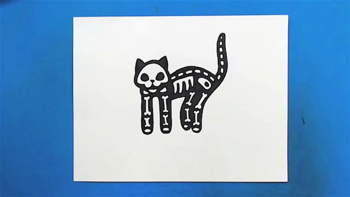 How to Draw a Cat Skeleton