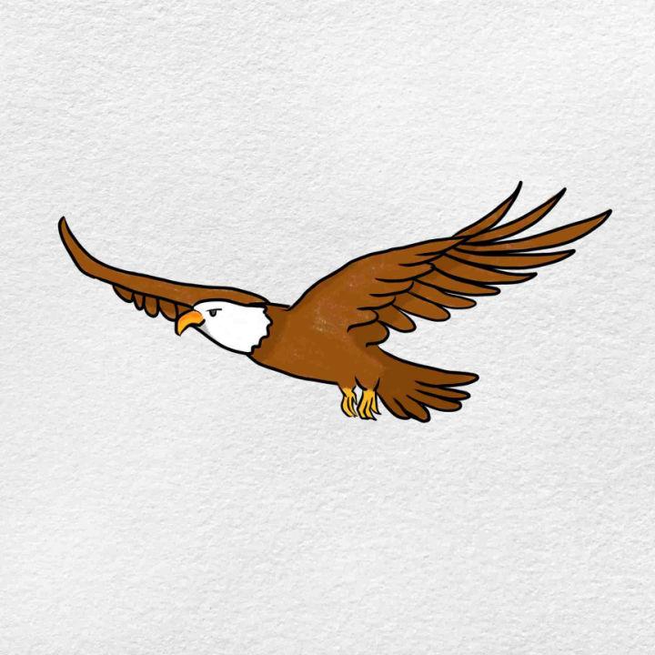 How to Draw a Eagle Flying Bird