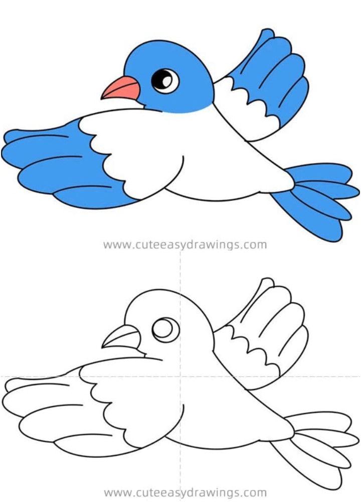 How to Draw a Flying Pigeon Bird
