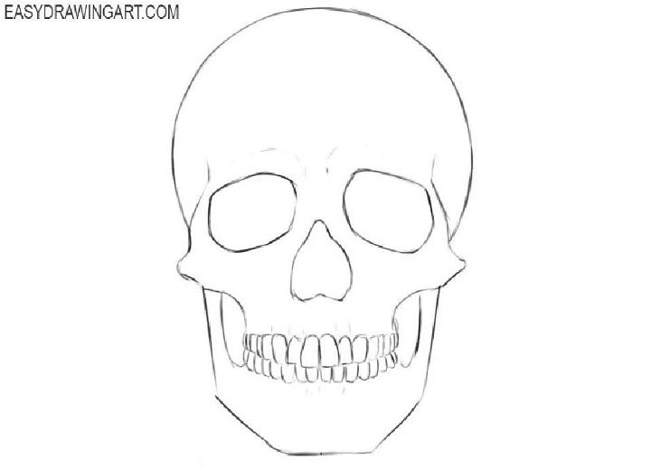 How to Draw a Human Skull