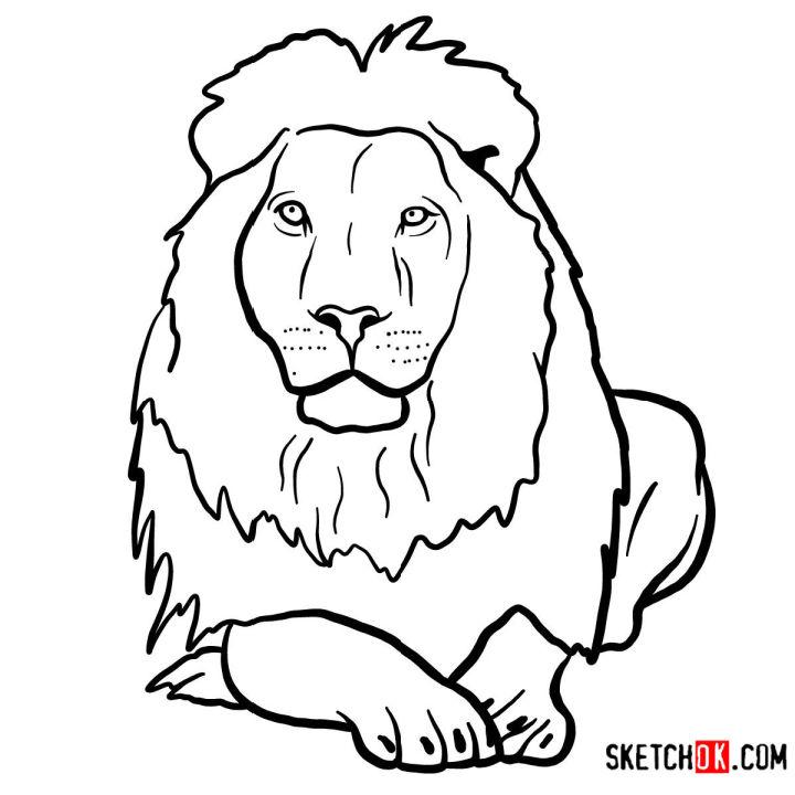 How to Draw a Lion Head