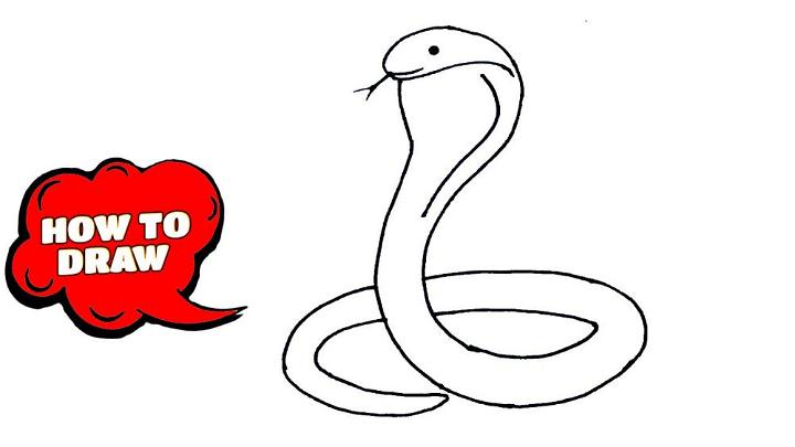 How to Draw a Simple Snake