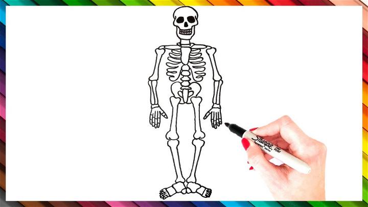 How to Draw a Skeleton Art