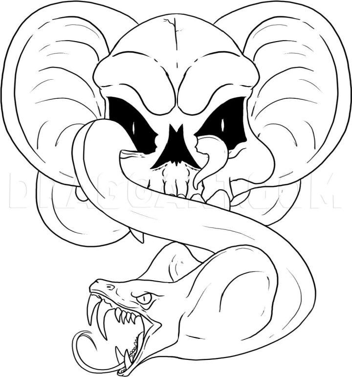 How to Draw a Snake Skull