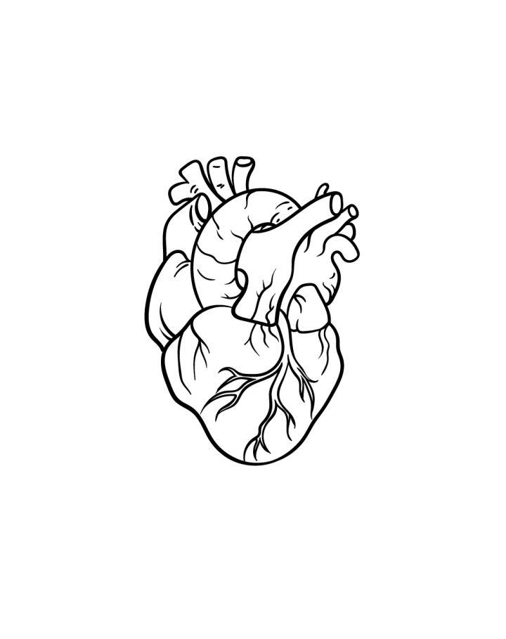 Human Heart Line Art · Creative Fabrica