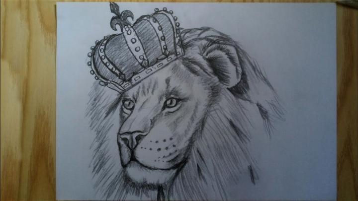 simple cute lion drawing