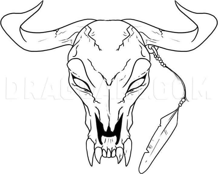 Longhorn Head Skull Drawing