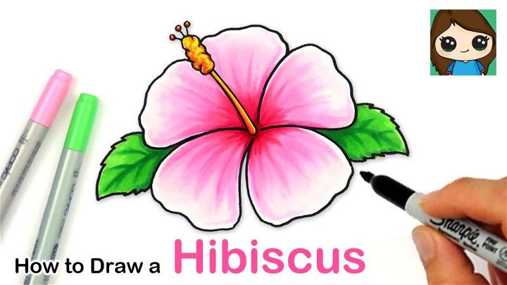 Minimalist Hibiscus Flower Drawing