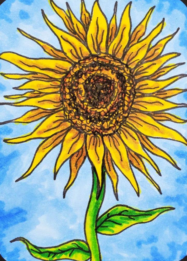 Outline Sunflower Drawing