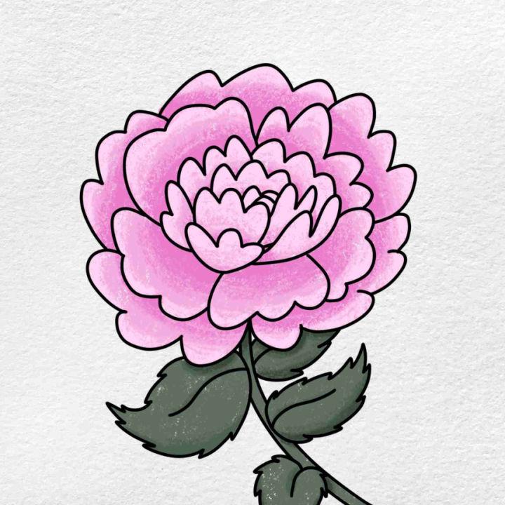 pretty flower drawing