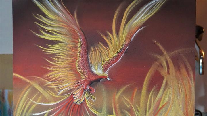Phoenix Bird Drawings
