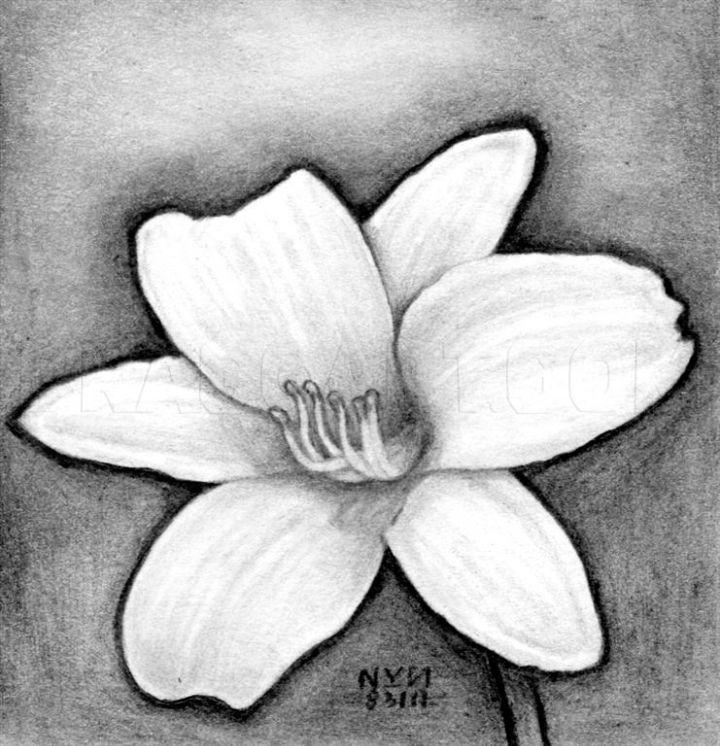 Realistic Flower Drawing