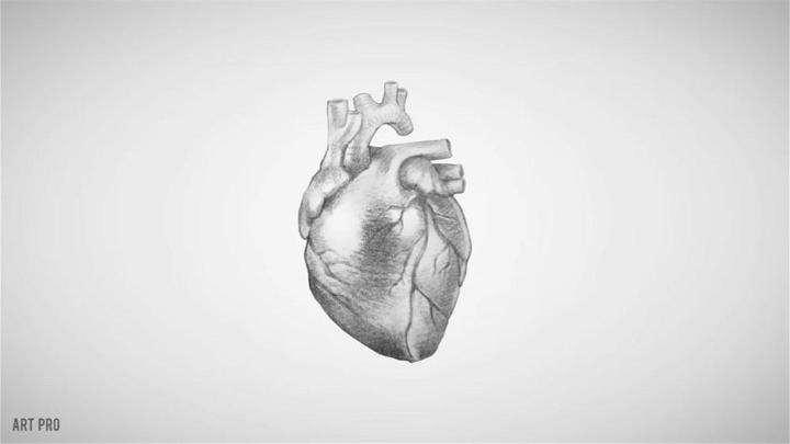 Realistic Human Heart with a Pencil