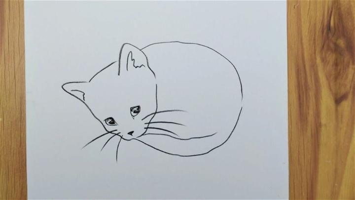 Sad Cat Pencil Drawing