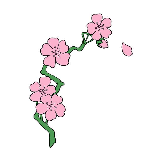 Sakura Flower Drawing For Beginners