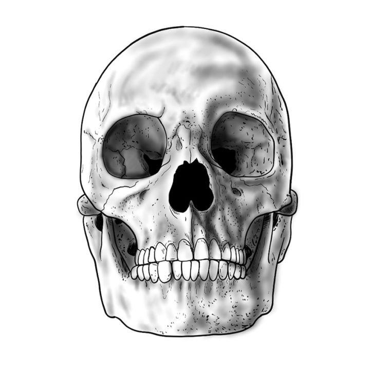 scary drawings of skulls