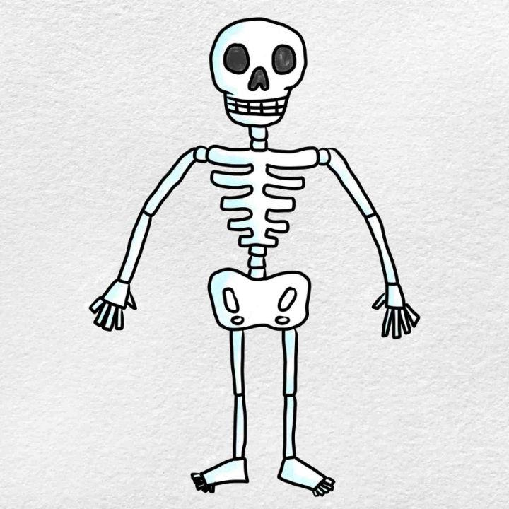 25 Easy Skeleton Drawing Ideas - How To Draw A Skeleton