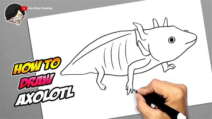 15 Cute Axolotl Drawing Ideas - How to Draw an Axolotl - Blitsy