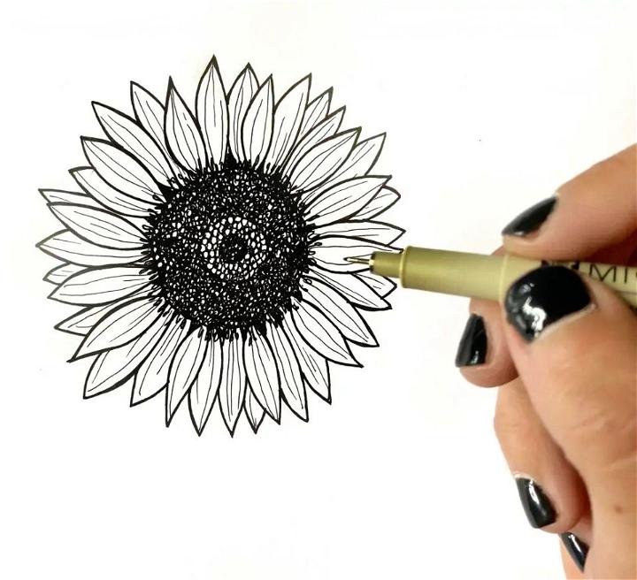 Small Sunflower Drawing
