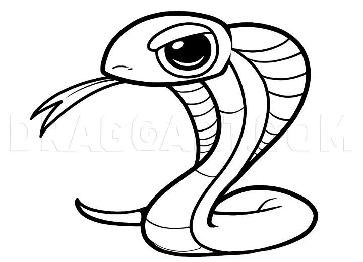 Snake Pictures to Draw for Beginners