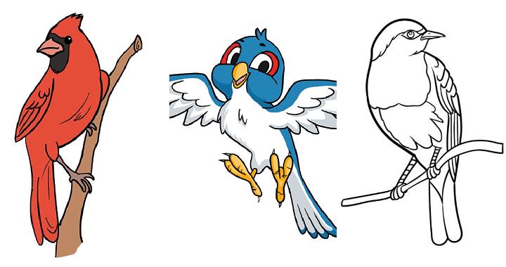 bird drawing ideas and tutorials