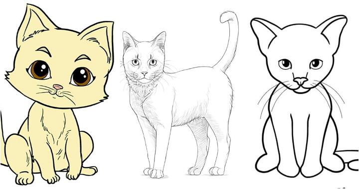 Free: Beautiful Cat Clipart 11 Drawing - Simple Outline Cat Drawing -  nohat.cc