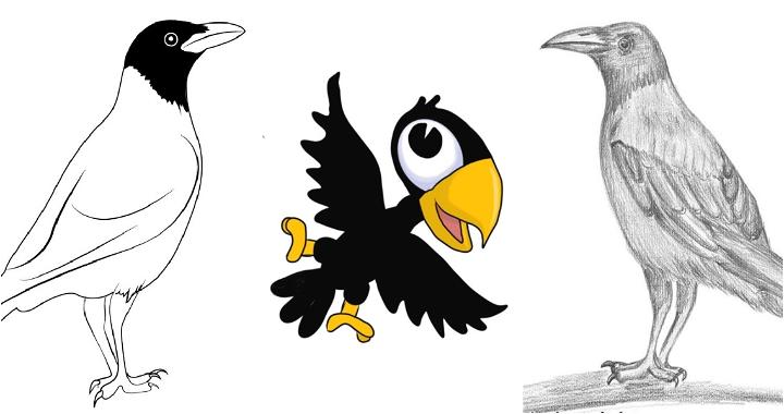 crow drawing ideas