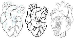 15 Easy Human Heart Drawing Ideas - Draw A Human Heart