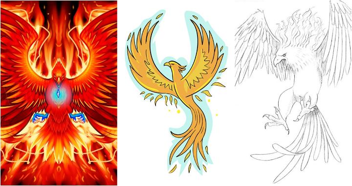15 Easy Phoenix Drawing Ideas - How to Draw a Phoenix