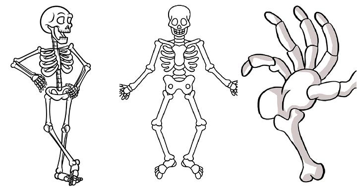 25 Easy Skeleton Drawing Ideas - How To Draw A Skeleton