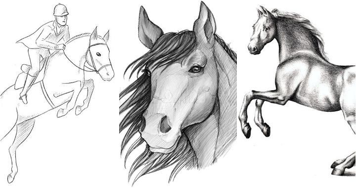 horse drawing ideas and tutorials