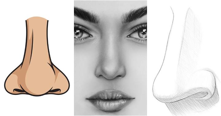 nose drawing ideas and tutorials