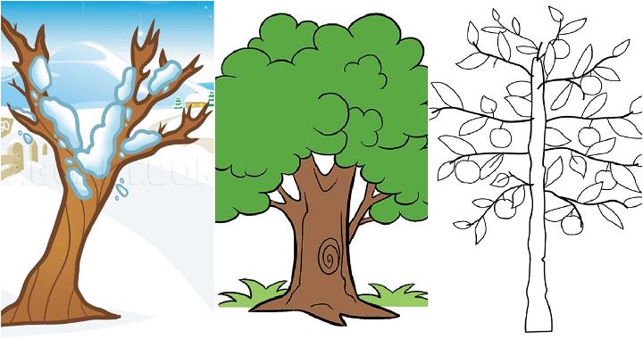 40 Easy Tree Drawing Ideas - How To Draw A Tree - Blitsy