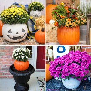 ways to make pumpkin planters