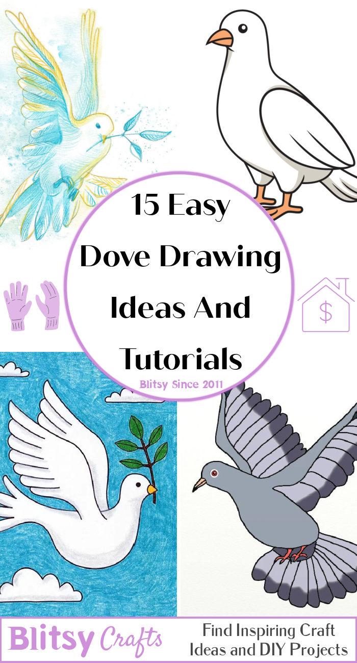 How to Draw a Dove for Beginners