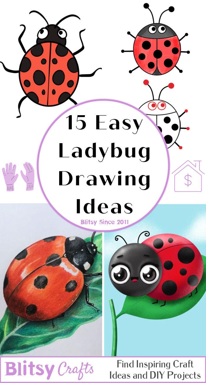 15 Easy Ladybug Drawing Ideas - How to Draw a Ladybug