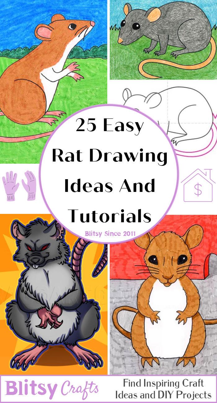25 Easy Rat Drawing Ideas - How to Draw a Rat