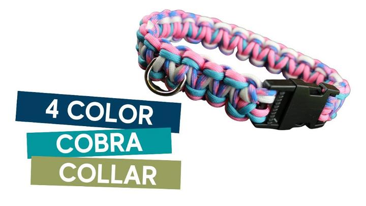 4 Colour Cobra Paracord Dog Collar