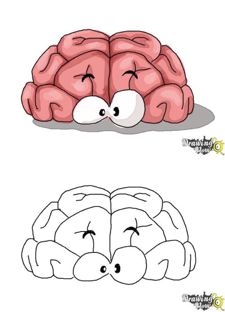 20 Easy Brain Drawing Ideas - How to Draw a Brain - Blitsy