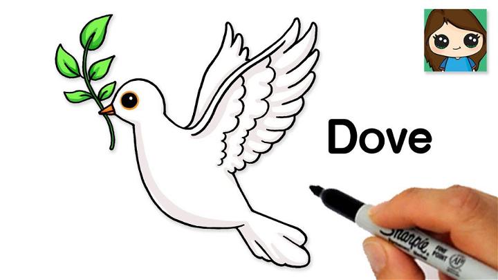 Cartoon Dove Drawing With An Olive Branch