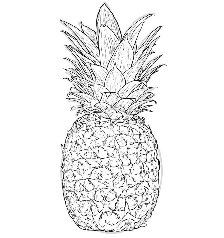 Creating an Easy Pineapple Drawing